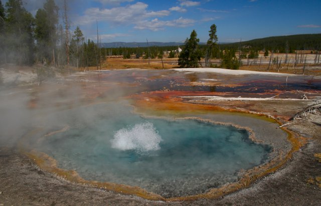 Bron langs Firehole Lake Drive